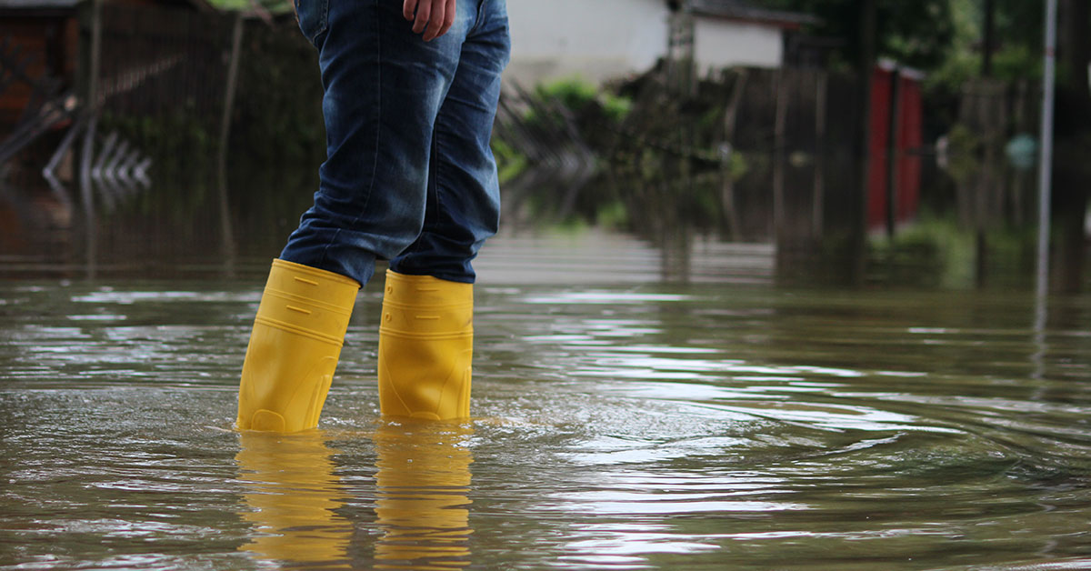 True or False: Floods are the number one natural disaster in the United States.