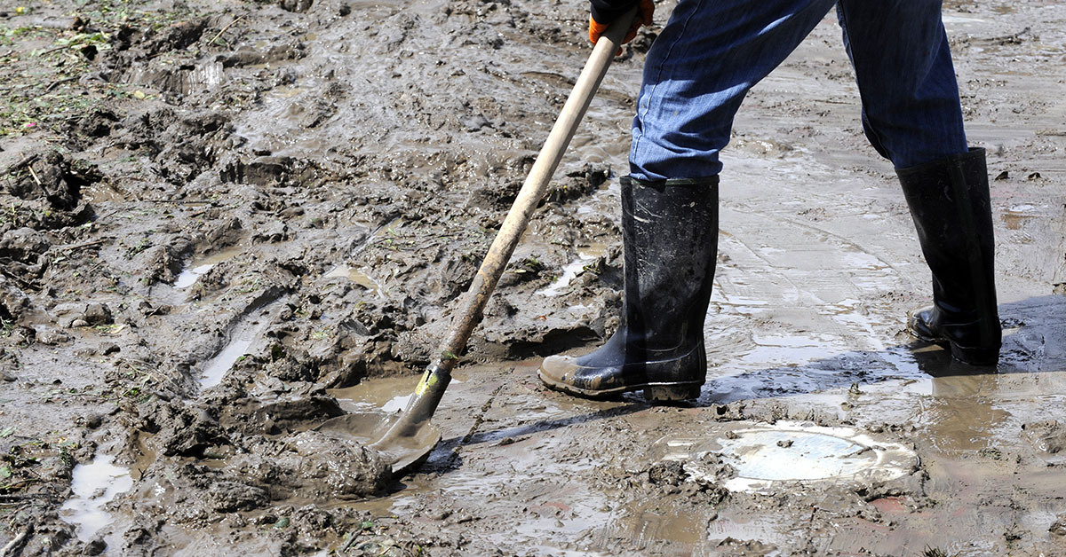 True or False: If my property is damaged by a flood, I will get Federal disaster assistance.