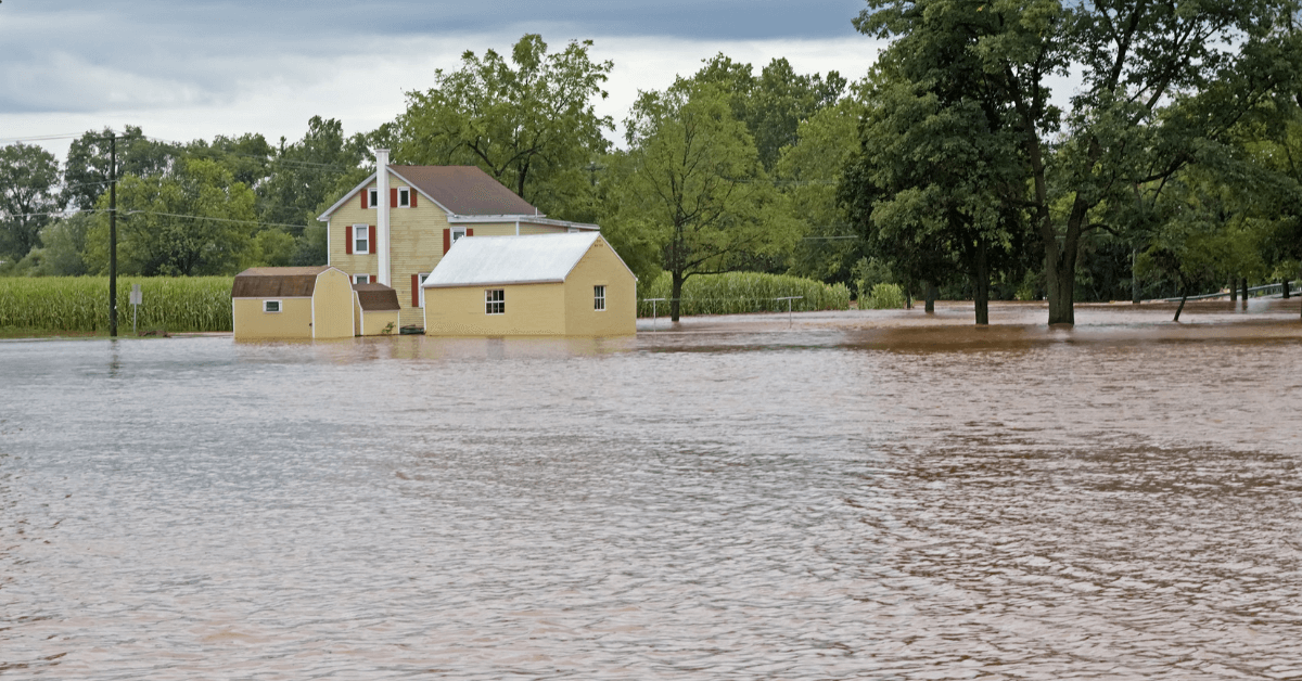 flood damage
