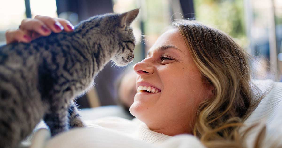 Feline Homeowner 1200 لماذا يسبب شعر القطط الحساسية؟ وما هو علاج حساسية القطط؟ 2 لماذا يسبب شعر القطط الحساسية؟ وما هو علاج حساسية القطط؟